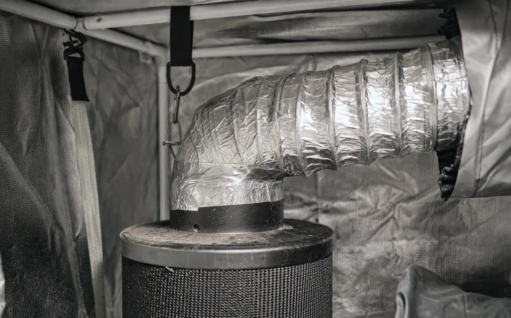 Belüftung und Geruchskontrolle im Growroom