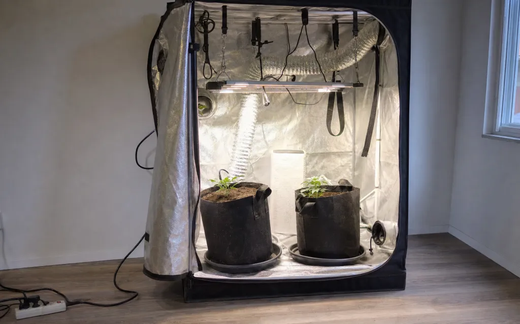 Indoor Grow Setup: die Grundausstattung