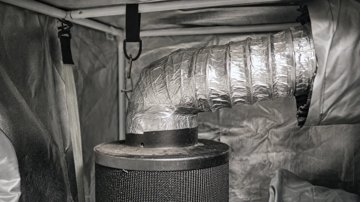 Belüftung und Geruchskontrolle im Growroom