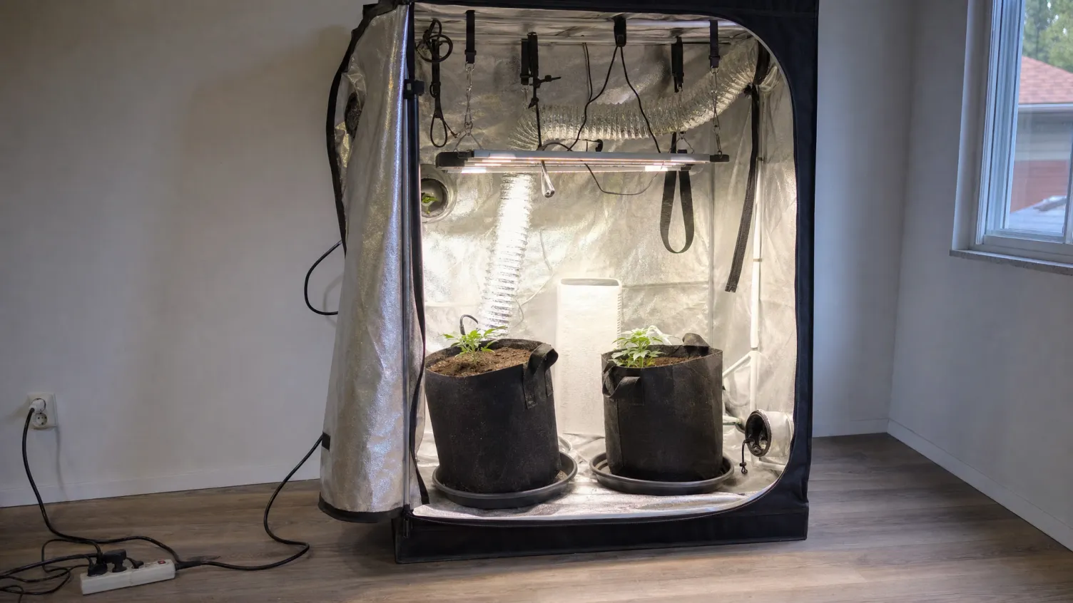 Offene Growbox mit Lampe und Töpfen