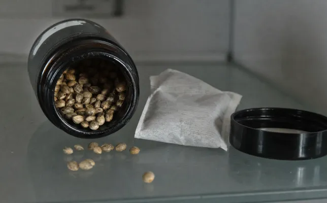 Cannabissamen richtig lagern